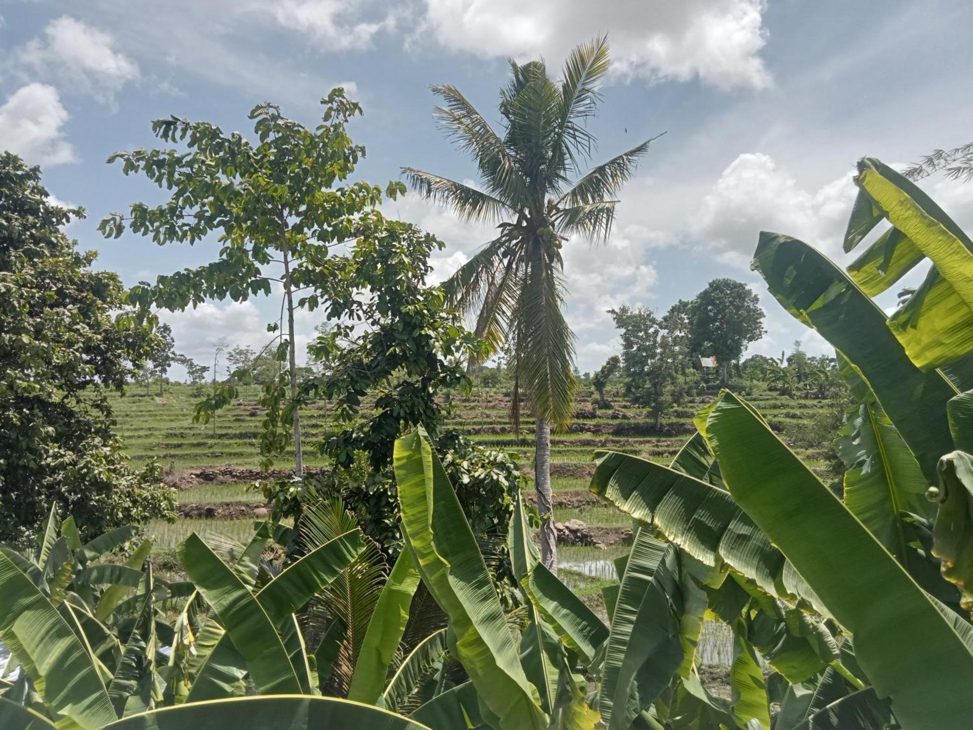 Bulan Homestay Plambi Extérieur photo