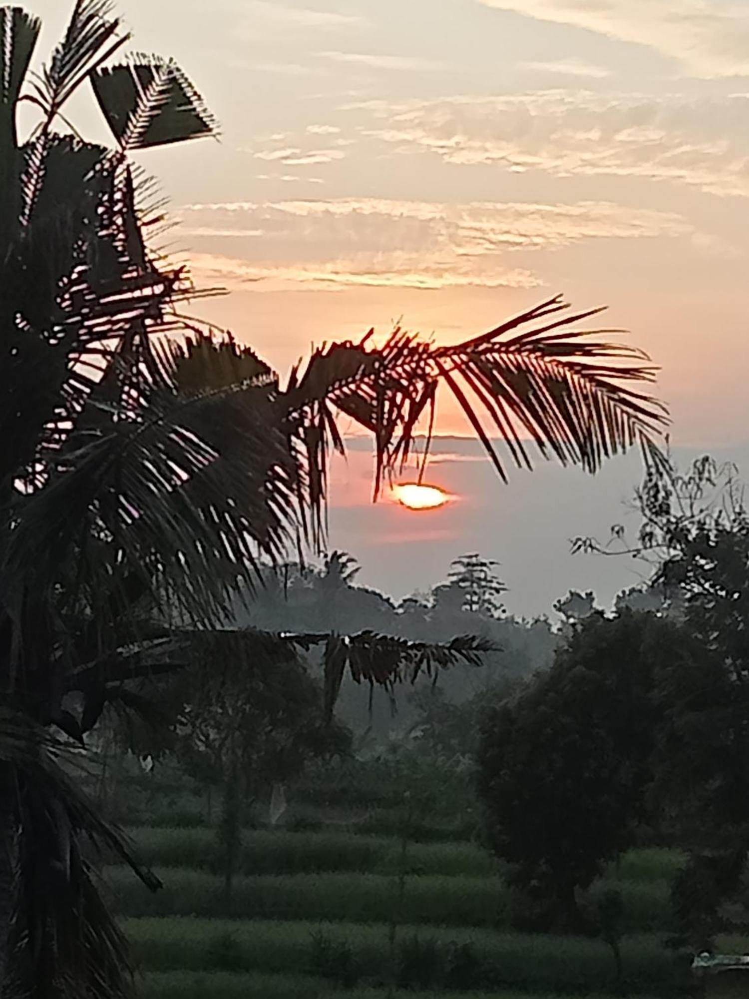 Bulan Homestay Plambi Extérieur photo